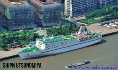 shipn utsunomiya