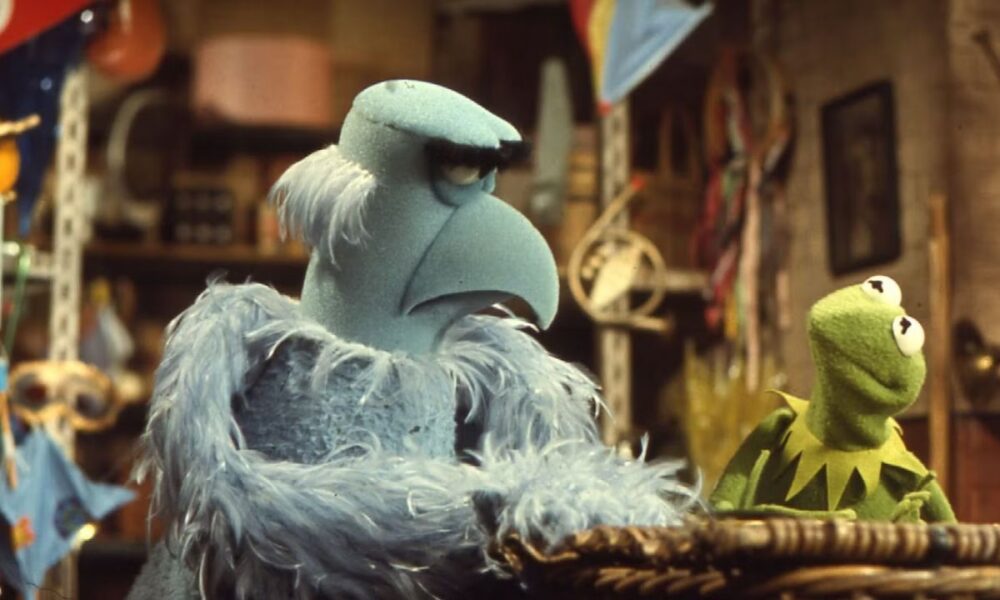 Muppet with a Long Hooked Beak