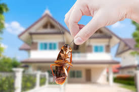 Home Pest-Free